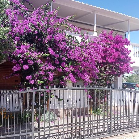 Apartment Drage 17392A Pakoštane エクステリア 写真